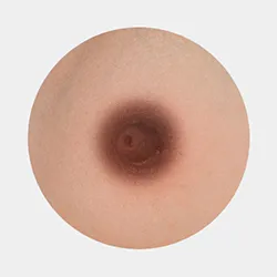 Brun foncé