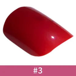 Référence 03