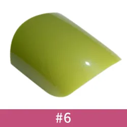 Référence 06