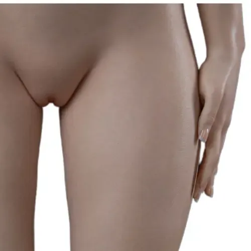 Avant de la cuisse gauche