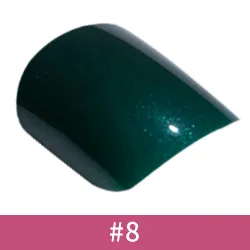 Référence 08
