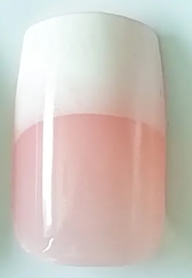 French rose