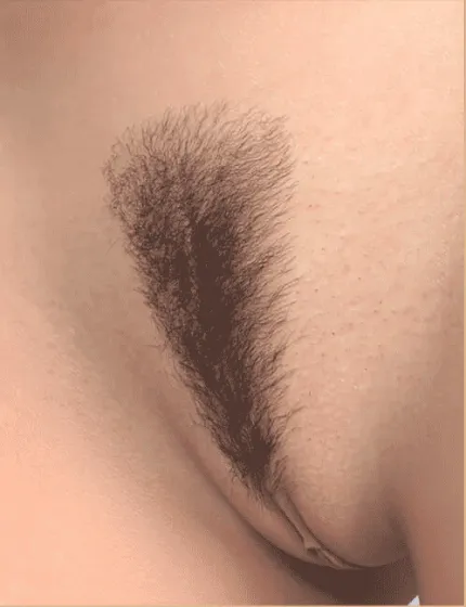 Légère
