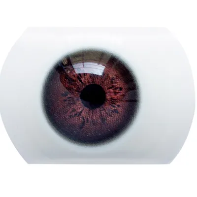 Référence 05
