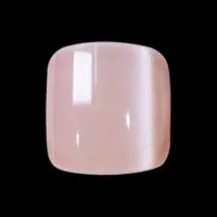 Référence 1