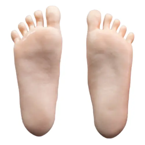 Pieds standards