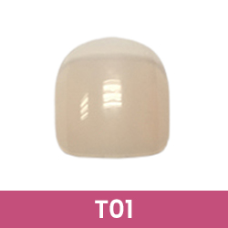 Référence T01