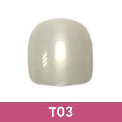 Référence T03