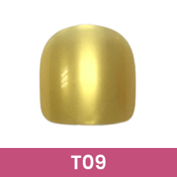 Référence T09