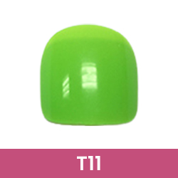 Référence T11